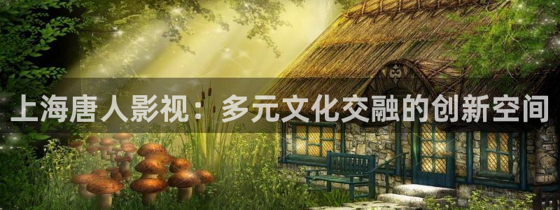 黄色麻豆片：上海唐人影视：多元文化交融的创新空间