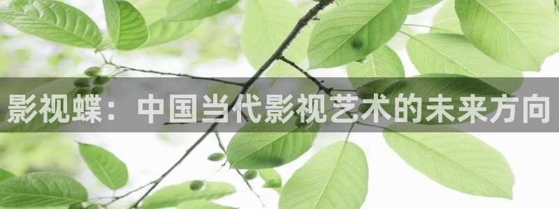 麻豆高清免费播放：影视蝶：中国当代影视艺术的未来方向