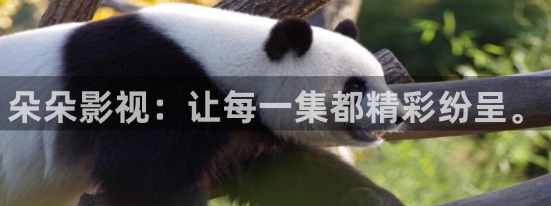 麻豆理论电影在线观看：朵朵影视：让每一集都精彩纷呈。