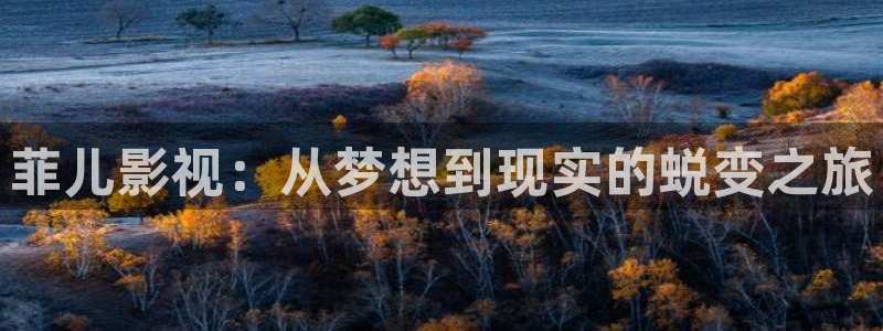 在线 视频 麻豆：菲儿影视：从梦想到现实的蜕变之旅
