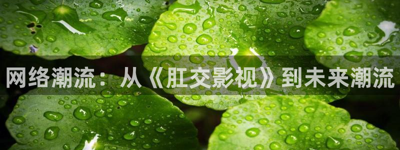 m麻豆电影：网络潮流：从《肛交影视》到未来潮流