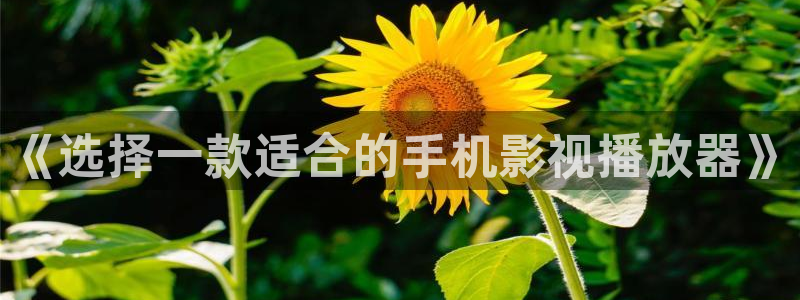 麻豆mv高清免费观看网站：《选择一款适合的手机影视播放器》