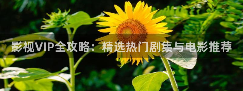 在线影院麻豆：影视VIP全攻略：精选热门剧集与电影推荐